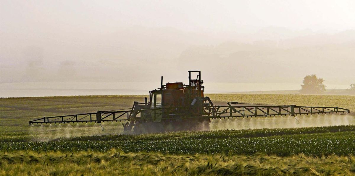 Ministerium will Anerkennung von Berufskrankheit vorantreiben Nach Empfehlung von Expertengremium für Landwirte - Aufnahme in Verordnung steht aus