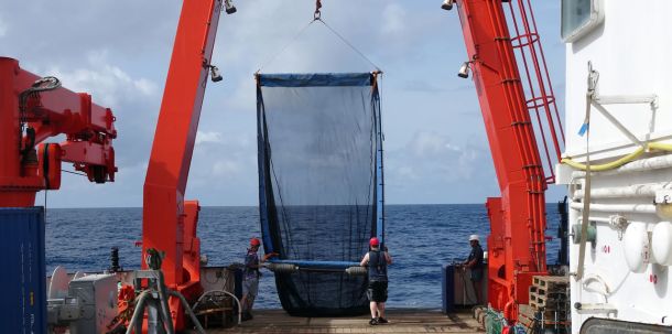 Trotz nährstoffreicher Umgebung ist in den letzten Jahrzehnten der Fischbestand im Benguela-Auftriebsgebiet vor Namibia stark zurückgegangen.