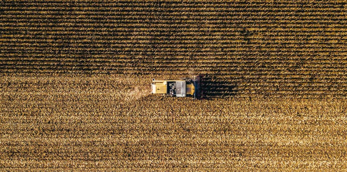 Auch bei wichtigen Nahrungsmitteln hat sich Deutschland (und übrigens auch der Rest der Welt) günstiger Preise wegen unsicheren Staaten unterworfen. Ein Drittel aller Weizen- und Gersteexporte weltweit stammt aus der Ukraine und Russland. Fallen die Lieferungen aus, kann das in manchen Gegenden der Welt zu Hungersnot führen.