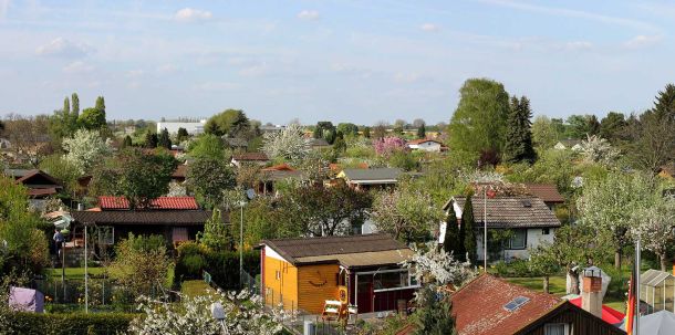 Bisherige Entwürfe zur Sicherung der Kleingärten in Berlin gingen an der Lebenswirklichkeit vorbei.