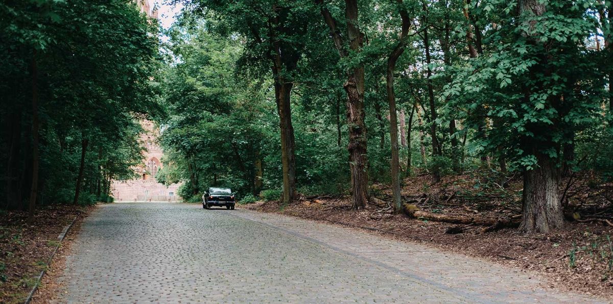 Dennoch ist es eine große Aufgabe, den Wald über viele Generationen so umzubauen, dass er trotz des Klimawandels auch noch unseren Enkeln und Urenkeln dienen kann.