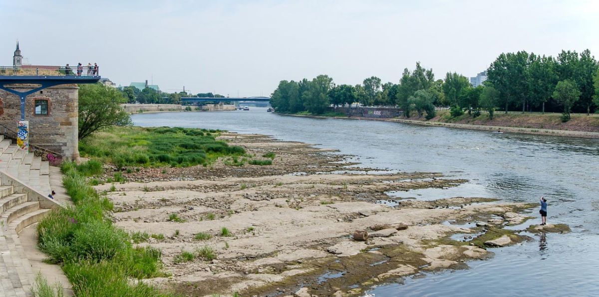 Elbe, Domfelsen, Magdeburg, Niedrigwasser
