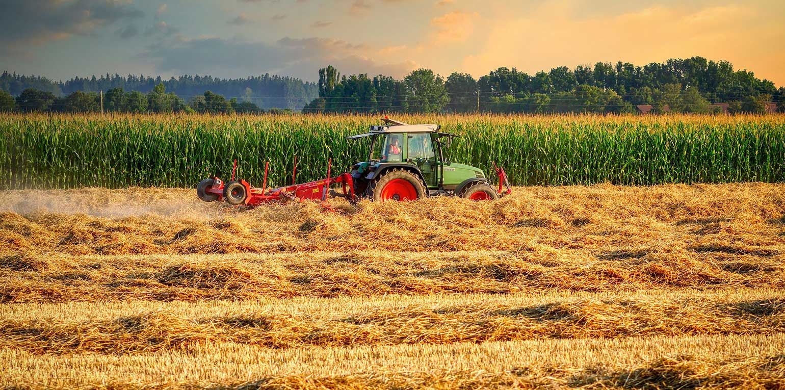 Der Bauernpräsident betonte, die Eigenversorgung der EU mit Getreide sei vorläufig gesichert, "vorausgesetzt, es stehen im Frühjahr genug Düngemittel und Pflanzenschutzmittel zur Verfügung".
