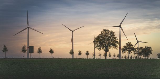 Abgeschaltet werden vor allem Windräder. 403 Millionen Kilowattstunden gingen dadurch in Sachsen-Anhalt von Januar bis September 2023 verloren.