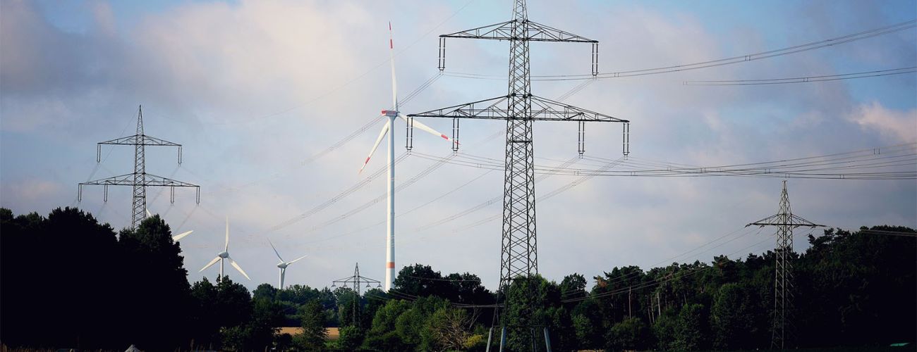 Grund für Brodocz Analyse sind der stockende Zubau von Windkraftanlagen in mehreren östlichen Bundesländern und die Änderung des Waldgesetzes in Thüringen, die CDU und FDP gemeinsam mit der AfD gegen die rot-rot-grüne Minderheitsregierung beschlossen haben.