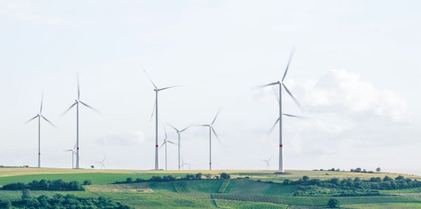 Wie die Flächenziele vor Ort umgesetzt werden, bleibt dabei den Ländern überlassen.