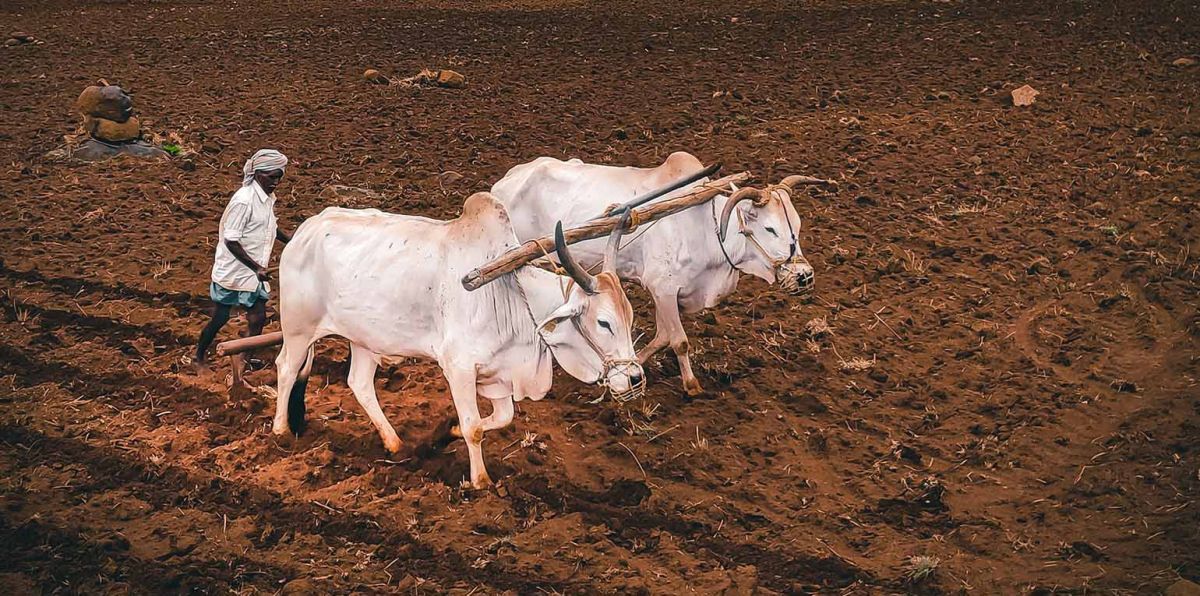 Die Gründe für Hunger liegen ebenso auf dem Tisch wie die Lösungen